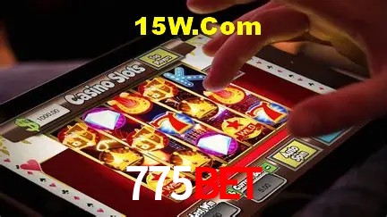 775bet Salvador - Statistics
